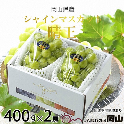 シャイン マスカット 晴王 約400g×2房   岡山県産 [No.5735-1664]