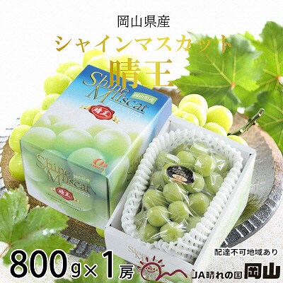 シャイン マスカット 晴王 約800g×1房  岡山県産  [No.5735-1665]