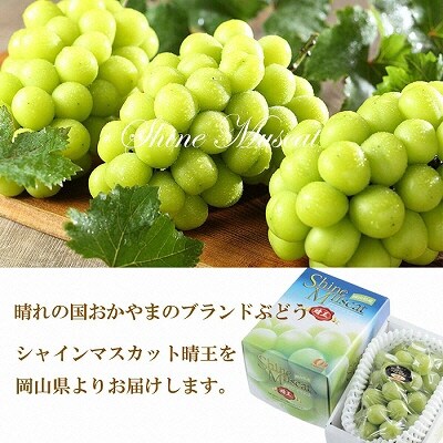 シャイン マスカット 晴王 約800g×1房  岡山県産  [No.5735-1665]