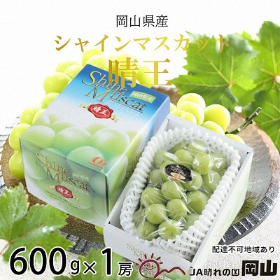 シャイン マスカット 晴王 約600g×1房   岡山県産 [No.5735-1666]