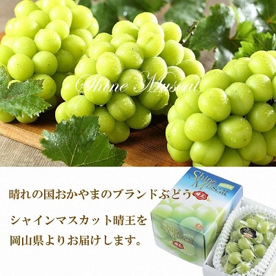 シャイン マスカット 晴王 約600g×1房   岡山県産 [No.5735-1666]