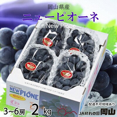 【2026年先行受付】ニュー ピオーネ 3房～6房 約2kg 岡山県産[No.5735-1668]
