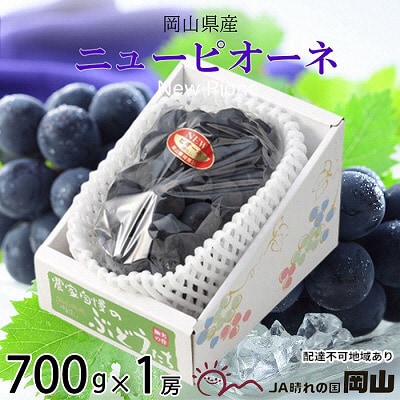 【2025年先行受付】ニュー ピオーネ 約700g×1房 岡山県産[No.5735-1673]