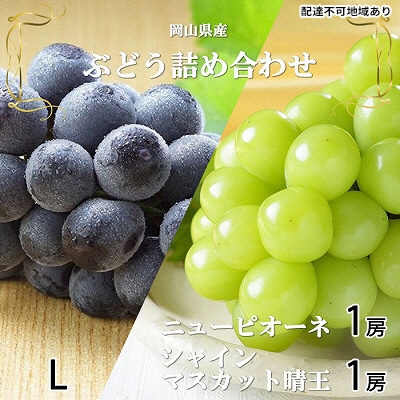 ニュー ピオーネ・シャイン マスカット 晴王 各1房約400g 岡山県産[No.5735-1675]