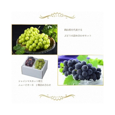 ニュー ピオーネ・シャイン マスカット 晴王 各1房約400g 岡山県産[No.5735-1675]
