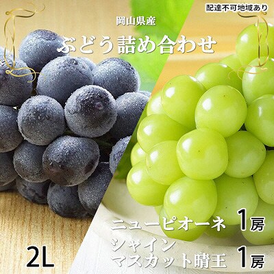 ニュー ピオーネ・シャイン マスカット 晴王 各1房約500g 岡山県産[No.5735-1676]