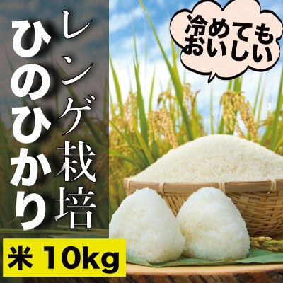 瀬戸内市のおいしい お米 「ひのひかり」10kg(5kg×2袋)石黒農園[No.5735-1647]