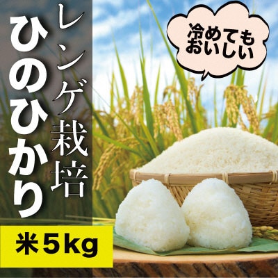 米粉 2kg と 米「ひのひかり」5kg のセット 瀬戸内市産 石黒農園[No.5735-1648]