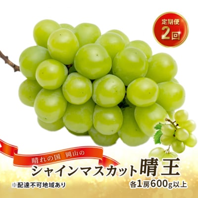 晴れの国岡山の シャインマスカット晴王 定期便2回(各1房600g以上)[No.5735-1716]