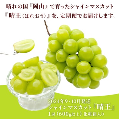 晴れの国岡山の シャインマスカット晴王 定期便2回(各1房600g以上)[No.5735-1716]
