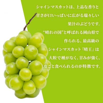 晴れの国岡山の シャインマスカット晴王 定期便2回(各1房600g以上)[No.5735-1716]