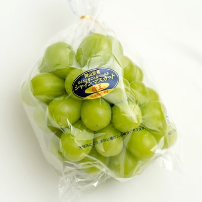 晴れの国岡山の シャインマスカット晴王 定期便2回(各1房600g以上)[No.5735-1716]