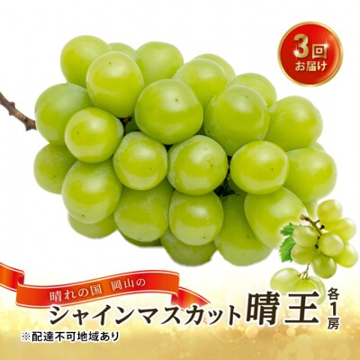 rr...出品　季節先取り【晴れの国岡山県産】温室栽培シャインマスカット 2026年発送先行予約】 岡山県産 シャインマスカット 晴王 訳あり 約2kg
