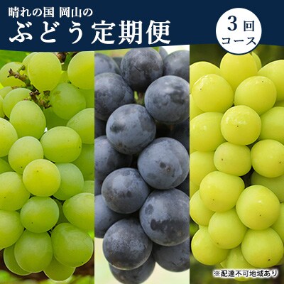 【2026年先行受付】 晴れの国 岡山 の ぶどう定期便 3回コース  [No.5735-1702]