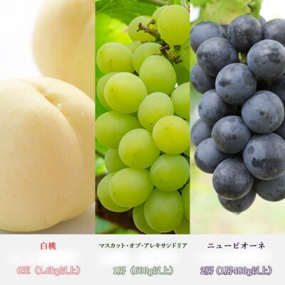  【2026年先行受付】晴れの国 岡山 の フルーツ 定期便 6回コース[No.5735-1705]