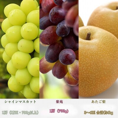  【2026年先行受付】晴れの国 岡山 の フルーツ 定期便 6回コース[No.5735-1705]