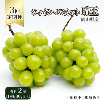 シャイン マスカット 晴王 各月2房 定期便 3回コース 岡山県産 [No.5735-1734]