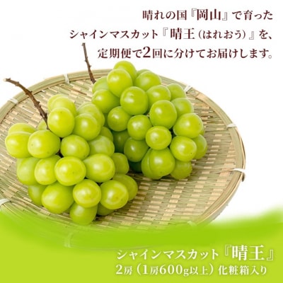 シャイン マスカット 晴王 各月2房 定期便 3回コース 岡山県産 [No.5735-1734]