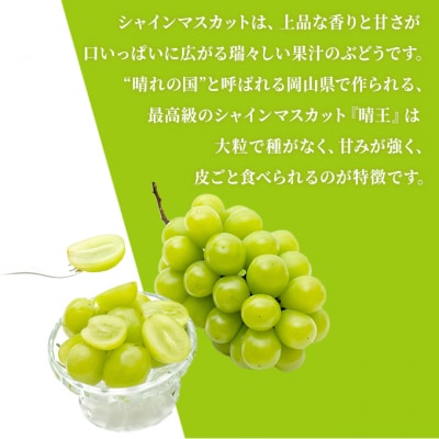 シャイン マスカット 晴王 各月2房 定期便 3回コース 岡山県産 [No.5735-1734]