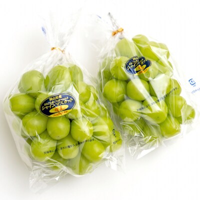 シャイン マスカット 晴王 各月2房 定期便 3回コース 岡山県産 [No.5735-1734]