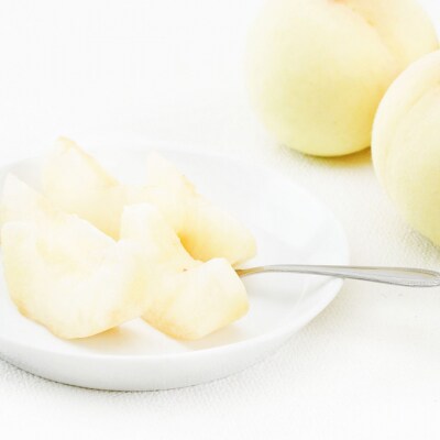 【2026年先行受付】フルーツ王国 岡山 ベストセレクト 3回コース  [No.5735-1732]