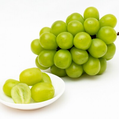 【2026年先行受付】フルーツ王国 岡山 ベストセレクト 3回コース  [No.5735-1732]