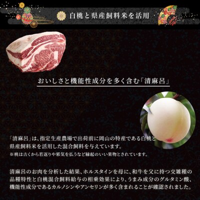 清麻呂 牛 ロース ステーキ肉 約540g(約180g×3枚)　[No.5735-1736]