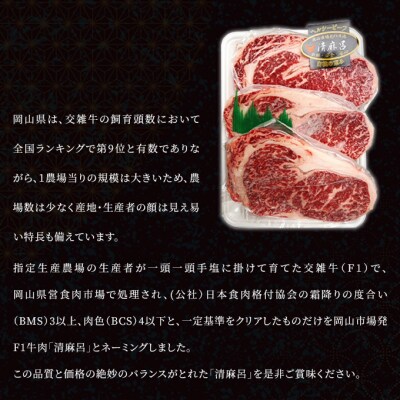 清麻呂 牛 ロース ステーキ肉 約540g(約180g×3枚)　[No.5735-1736]