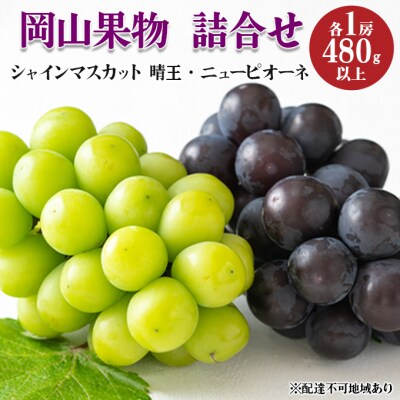 岡山果物 詰合せ ニューピオーネ 1房/ 晴王 1房 化粧箱入 岡山県産[No.5735-1576]