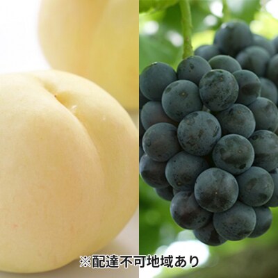 果物詰合せ 岡山白桃2玉(等級:ロイヤル)・ニューピオーネ1房 岡山県産[No.5735-1617]