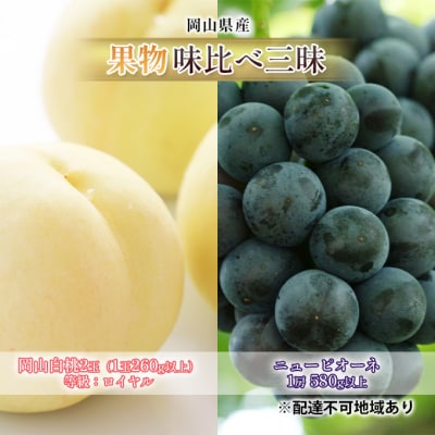 果物詰合せ 岡山白桃2玉(等級:ロイヤル)・ニューピオーネ1房 岡山県産[No.5735-1617]