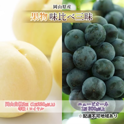 岡山 白桃 2玉 (等級:ロイヤル)・ニュー ピオーネ 1房 詰合せ  [No.5735-1620]