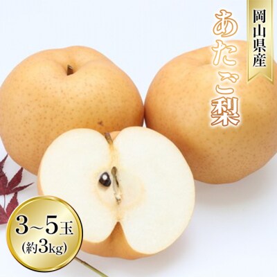 [ 2023年先行受付]あたご梨 約3kg 3～5玉入り 岡山県産[No.5735-1631]