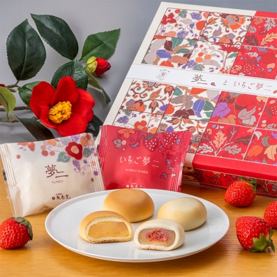 和菓子 敷島堂 夢二といちご夢二 16個入[No.5735-0904]