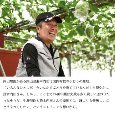 マスカット・ジパング 1房(1kg以上)内田農園 瀬戸内市産 ぶどう[No.5735-1189]