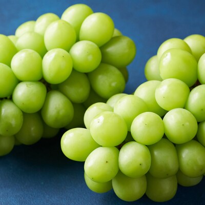 シャインマスカット晴王2房とA5等級黒毛和牛サーロインステーキ2回定期便[No.5735-1763]