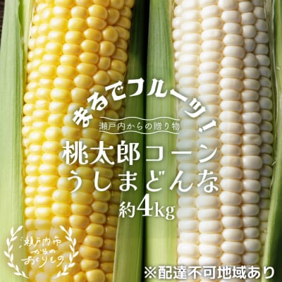 牛窓産 とうもろこし「桃太郎コーン」と「うしまどんな」のセット 約4kg[No.5735-1795]