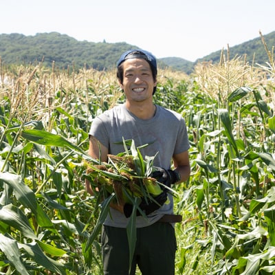 牛窓産 とうもろこし「桃太郎コーン」と「うしまどんな」のセット 約4kg[No.5735-1795]