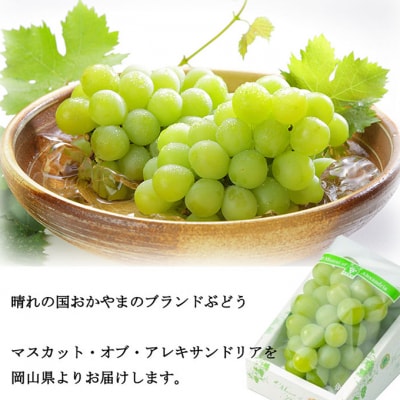 マスカット ・オブ・アレキサンドリア 約600g×1房 岡山県産[No.5735-1749]