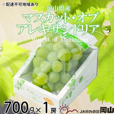マスカット ・オブ・アレキサンドリア 約700g×1房 岡山県産[No.5735-1750]