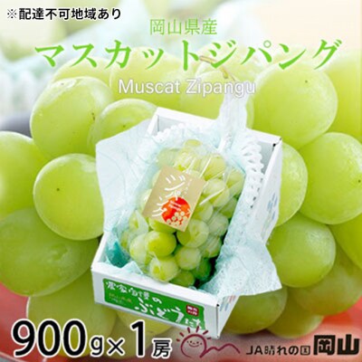 【2025年先行受付】マスカット ジパング 約900g×1房 岡山県産[No.5735-1753]