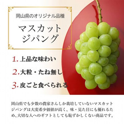 【2025年先行受付】マスカット ジパング 約900g×1房 岡山県産[No.5735-1753]