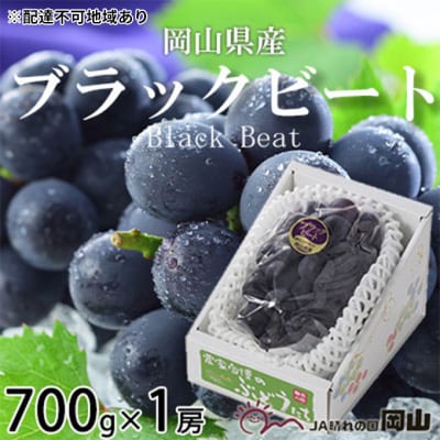 【2026年先行受付】ブラックビート 約700g×1房 岡山県産[No.5735-1755]