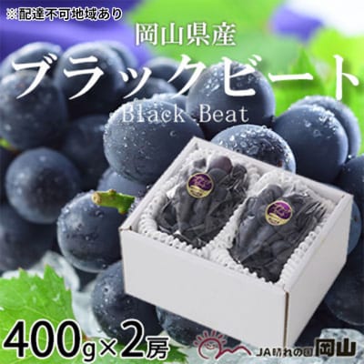 【2025年先行受付】ブラックビート 約400g×2房 岡山県産[No.5735-1756]
