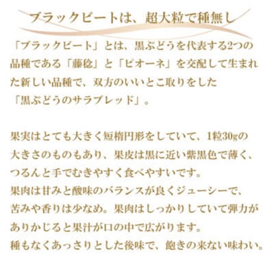 【2025年先行受付】ブラックビート 約400g×2房 岡山県産[No.5735-1756]