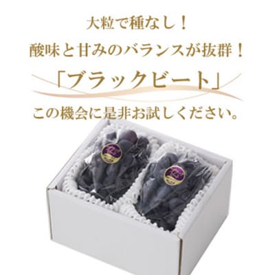 【2026年先行受付】ブラックビート 約600g×2房 岡山県産[No.5735-1758]