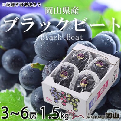【2025年先行受付】ブラックビート 約1.5kg 3～6房 岡山県産[No.5735-1759]