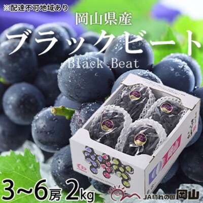 【2026年先行受付】ブラックビート 約2kg 3～6房 岡山県産[No.5735-1760]