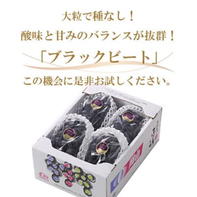 【2025年先行受付】ブラックビート 約2kg 3～6房 岡山県産[No.5735-1760]