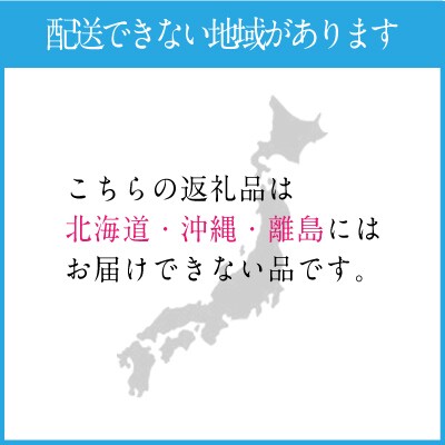 【2026年先行受付】シャインマスカット晴王 1房 約600g 岡山県産[No.5735-1678]